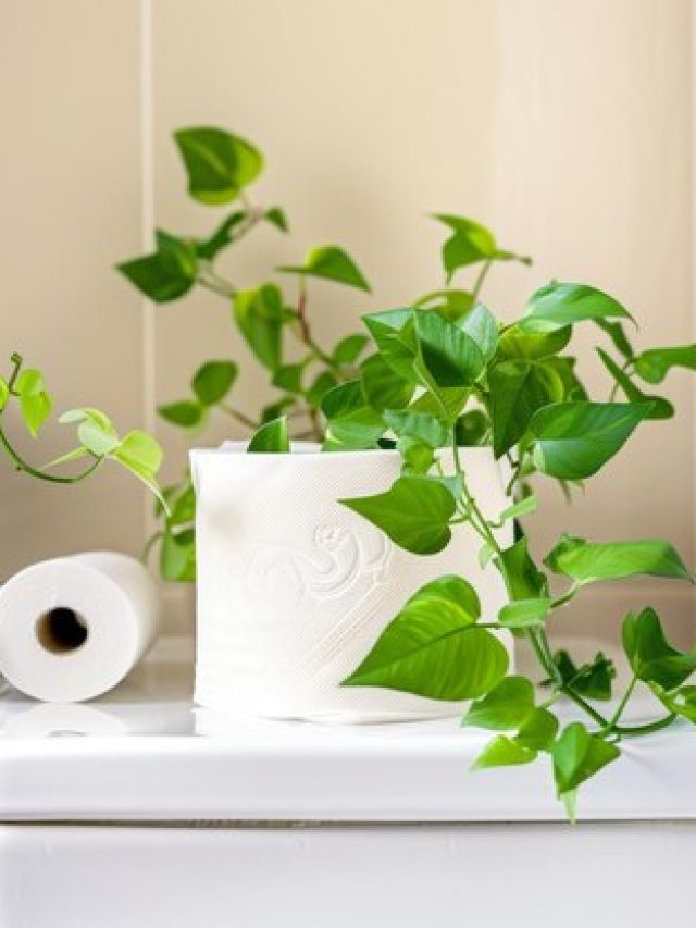 roll-toilet-paper-tank-with-plant-bathroom_124507-278737